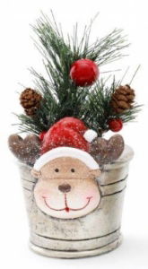Christmas Foliage in Tin Pot Rudolph 9.5cm