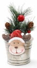 Christmas Foliage in Tin Pot Rudolph 9.5cm