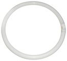 40W CIRCULAR TUBE