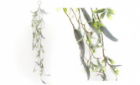 Christmas Mistletoe 120cm