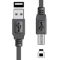 Lead Computer USB A Plug/USB B Plug