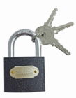 Padlock Cast Iron 50mm