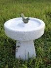 Garden Ornament BIRD ON BIRD BATH GRANITE Colour 40cm