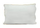 Healthflow Pillow