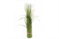 Artificial Plant Pampas Grass 61cm x3