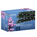 Christmas Lights  100 LED Pink Chaser