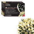 Christmas Lights  100 LED Warm White Timer 3xAA Req.