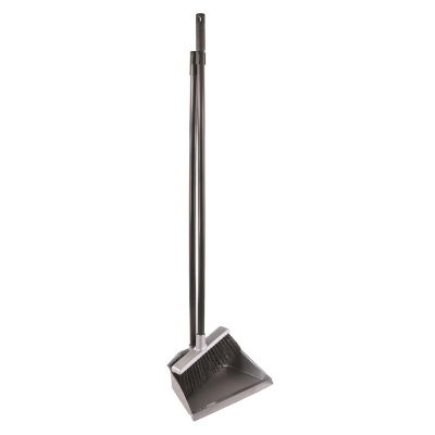 Dustpan & Brush Set Long Handle