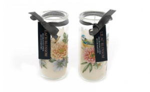 Candle Botanical Love x4 in 14cm Tube - Various Scents