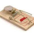 MOUSE TRAP