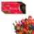 Christmas Lights Shadeless  100 - Clear or Coloured