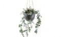 Artificial Flowers Hanging Eucalyptus 15x75cm