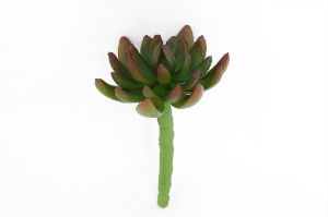 Artificial Plant Succulent Pick  8x11cm